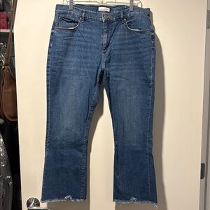 LOFT Blue Denim Jeans with Button Accent / Ankle length